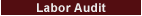 Labor Audit