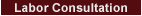 Labor Consultation
